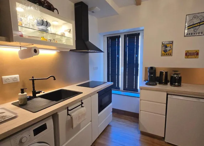 Avec Terrasse Centre Historique 公寓