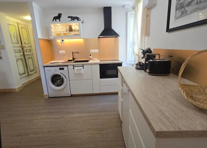 公寓 Avec Terrasse Centre Historique *