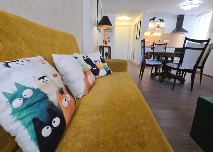 Avec Terrasse Centre Historique *