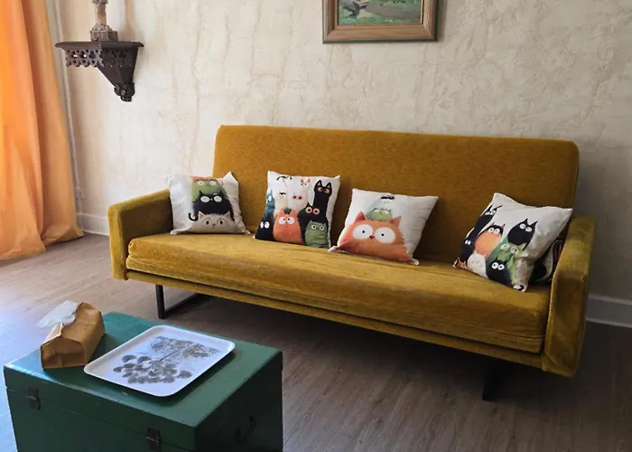 公寓 Avec Terrasse Centre Historique *