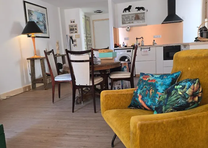 公寓 Avec Terrasse Centre Historique 克莱蒙费朗